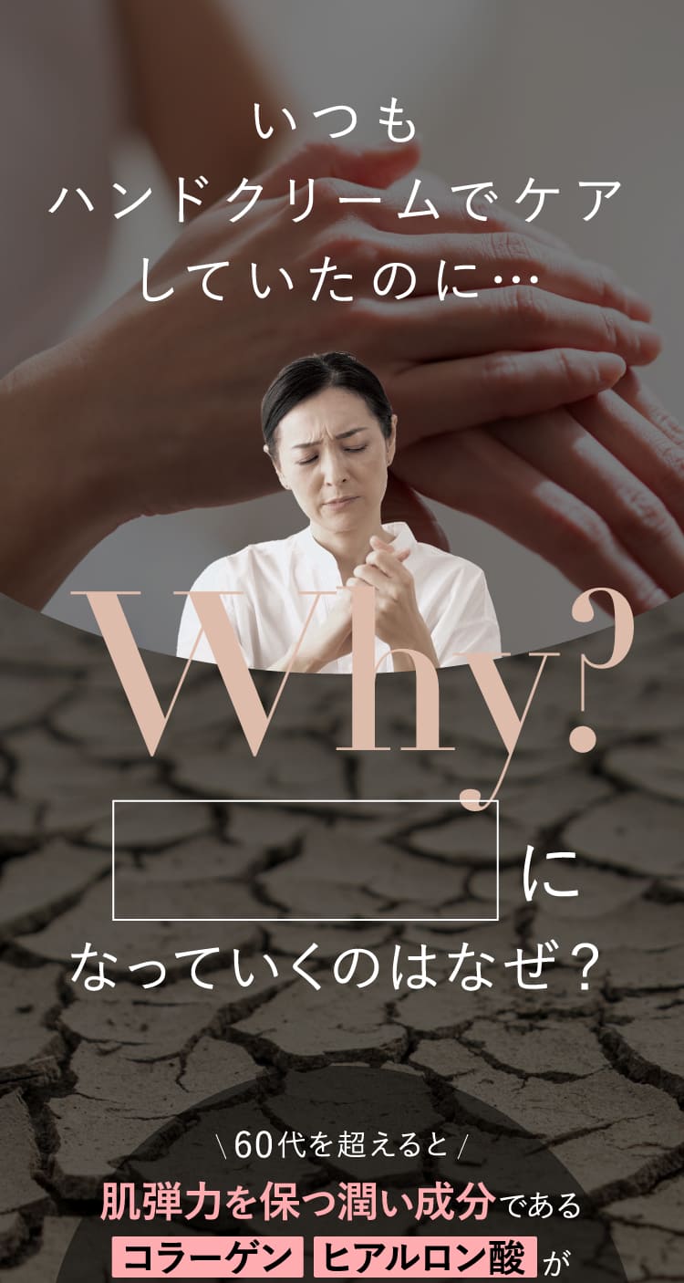 楽天市場】【5月1日】半額福袋&Pお得 【公式】 ハンドクリーム